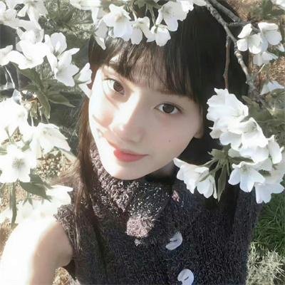 曹老板的十八个秘书